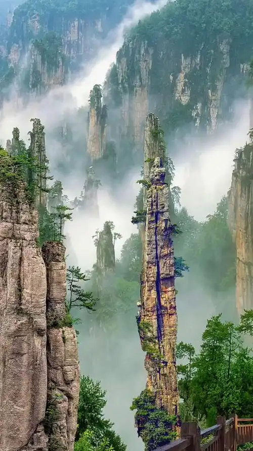 张家界森林公园风景区