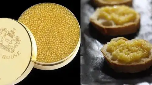 奥地利的养鱼户为他们最富有的顾客提供这种鱼子酱.