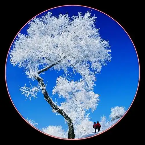 四十岁女人淡雅气质网名,适合四十岁女人的微信名?_玄禅起名网