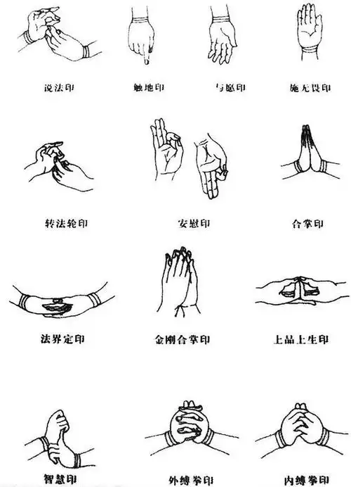 《火影》结印手势图小编曾经是热门动画片《火影忍者》的忠实粉丝