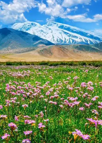 新疆伊犁春天雪山草地自然风光依然漂亮.#摄影#风景