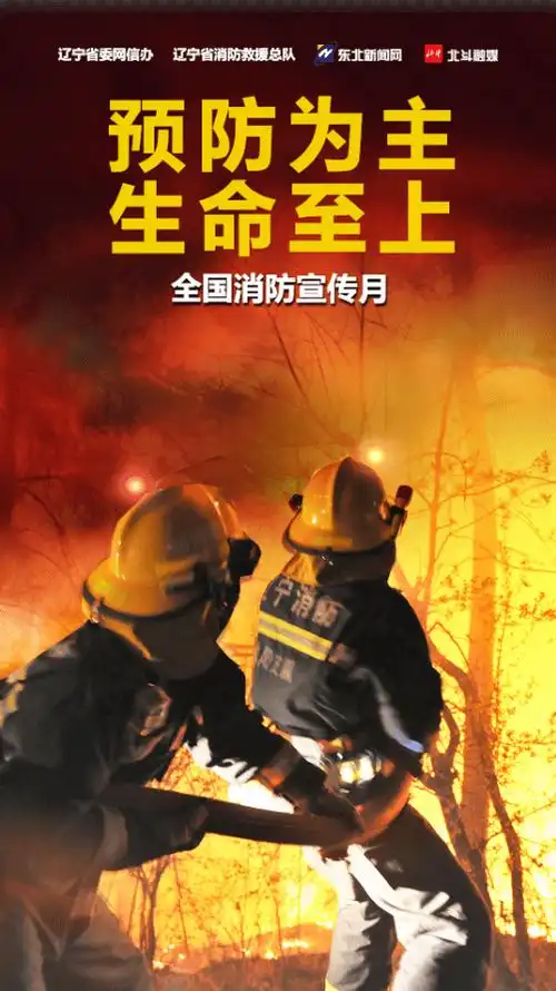 海报| 预防为主 生命至上——全国消防宣传月_万珍妮