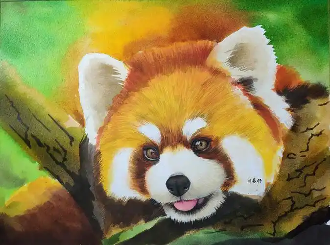水彩彩铅综合材料小熊猫 获多福八开,泰伦斯鲁本斯水彩打底,辉柏嘉卡