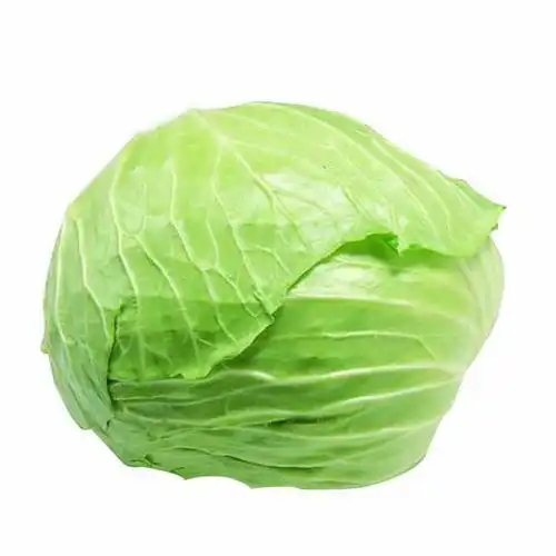 加厚玻璃泡茶壶过滤冲茶器红茶泡绿茶办公室功夫茶具小号