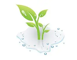 卡通手绘发芽的小草矢量图