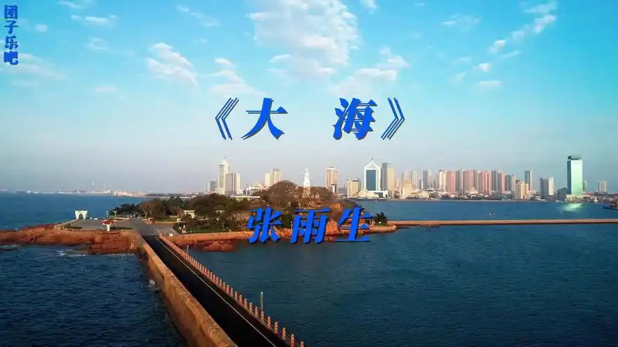 《大海》- 张雨生