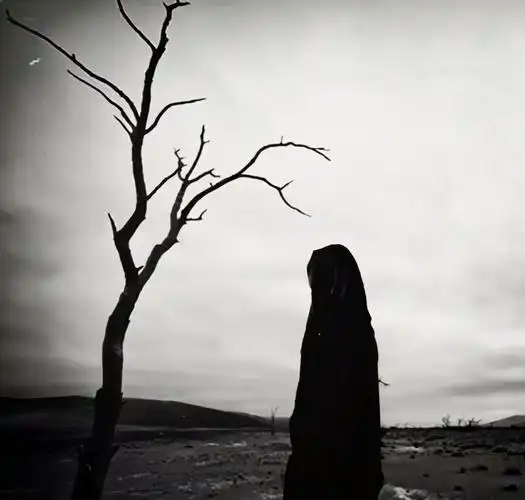 对爱情失望无奈的句子(爱情伤感句子句句心痛)