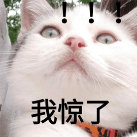 猫我惊了可爱呆萌gif动图_动态图_表情包下载_soogif