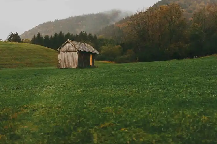 德国阿尔卑斯牧场唯美秋天风景