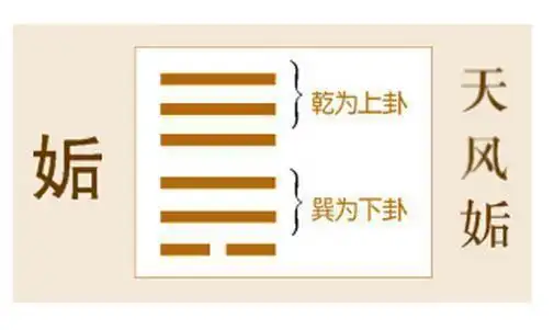 揭秘《易经》第44卦姤卦:生命中那些令人目眩的相遇,因何而来?