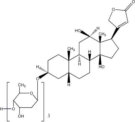 地高辛 - 巴尔扎克 - 我的博客