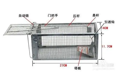 生活/家居 > 生活常识 1 选购铁质的捕鼠笼,网眼要小,铁网要粗, 2
