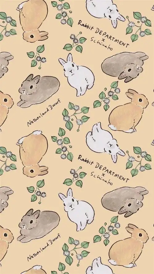 创意卡通兔子唯美高清手机壁纸