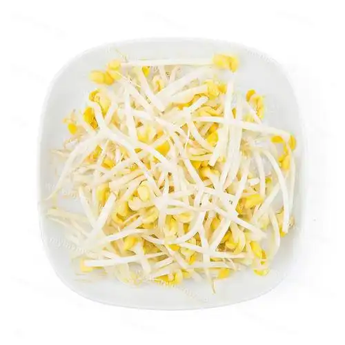 黄豆芽/bean sprouts