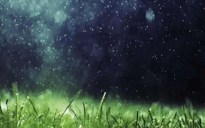 电脑壁纸 风景 下雨天的唯美意境写真