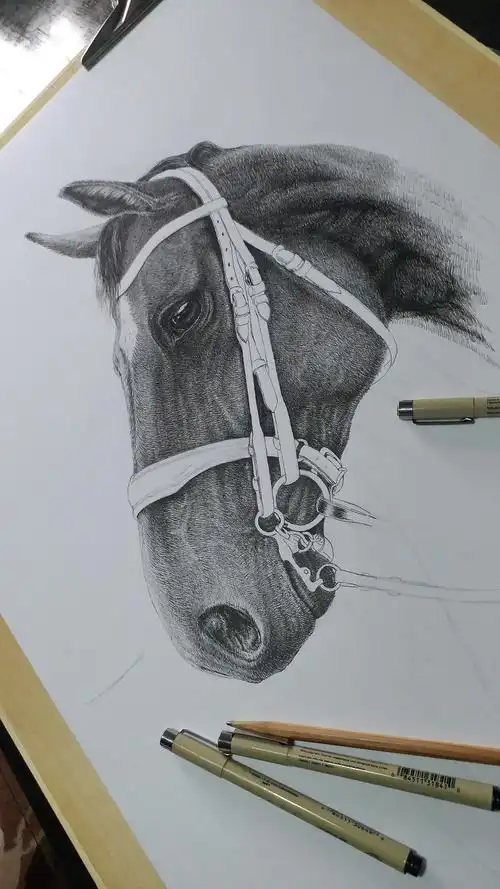钢笔画-马