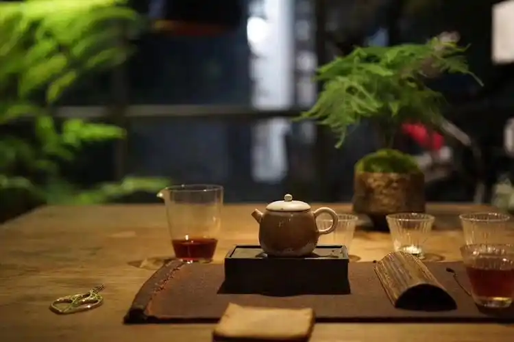 一夜荒唐梦梵烟入梦来