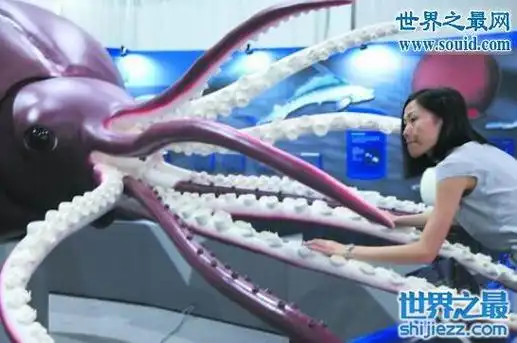 巨枪乌贼唯一的天敌,抹香鲸