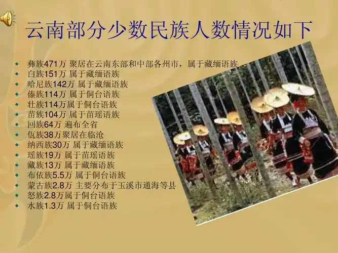 云南少数民族概况.眼ppt