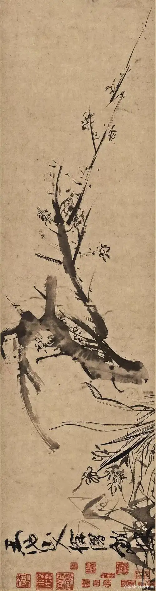 徐渭:杂花图之梅花(请横屏观看)