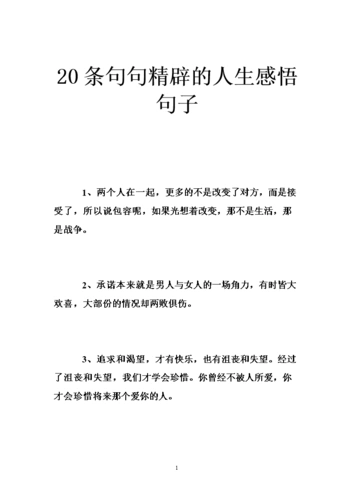 20条句句精辟的人生感悟句子 .doc