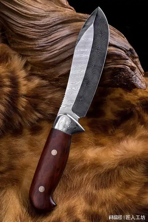 真正安全的丛林刀为你的丛林探险保驾护航这些标准十分重要