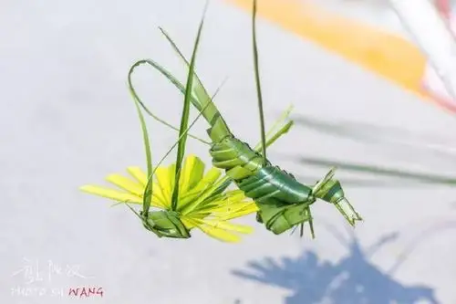 真的有魔法!一片棕榈叶编织成的动物世界,你的童年里有它么?