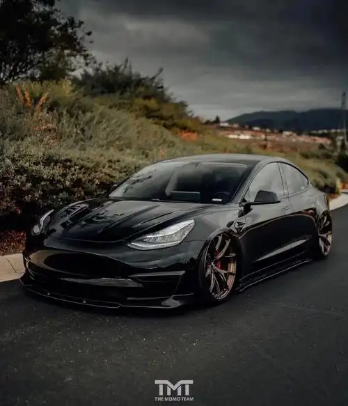 tmtmodel3低趴姿态改装案例