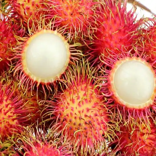 厂家批发新鲜红毛丹 鲜果毛荔枝新鲜水果新鲜红毛丹量大从优