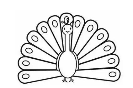 孔雀开屏简笔画怎么画孔雀开屏又简单又漂亮