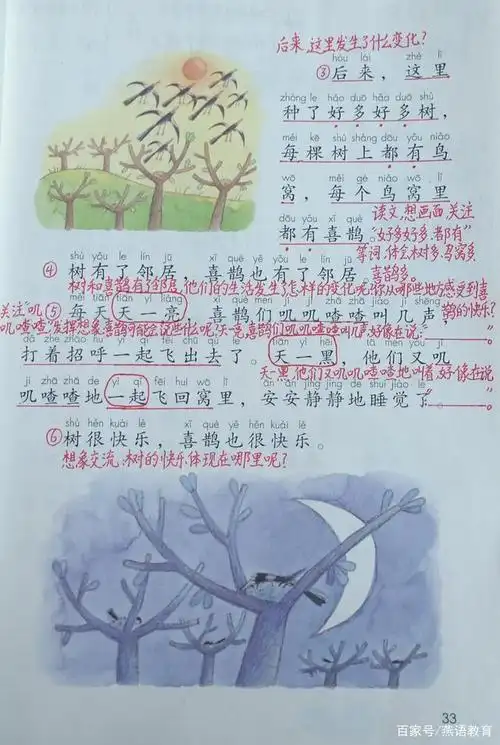 一年级下册语文《树和喜鹊》教师笔记:条理清楚,训练点清晰