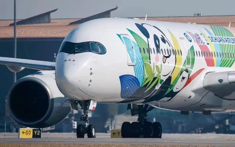 航空四川航空a350大熊猫彩绘涂装首都机场降落