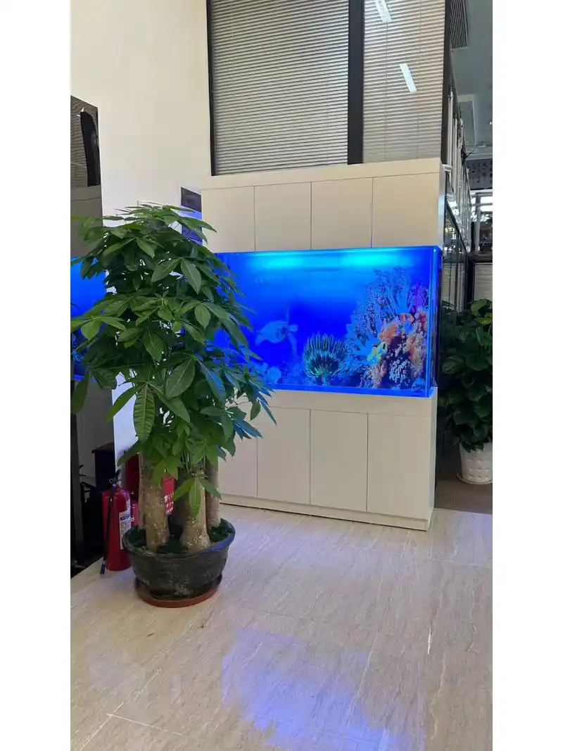 办公室鱼缸这样放,绝对招财 量身定制高端大气上档次 .