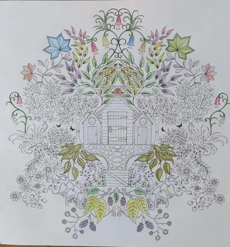 继续秘密花园涂色画 2020.4.13～5.13