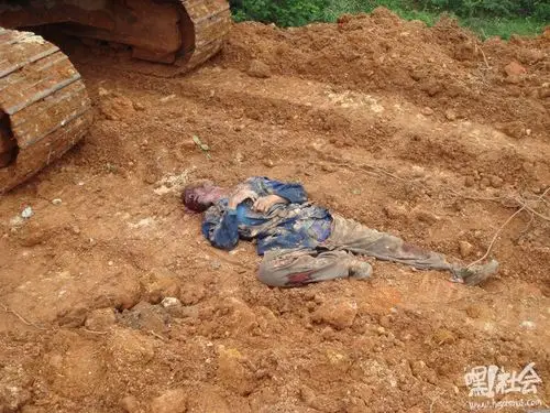 转载:再次震惊!