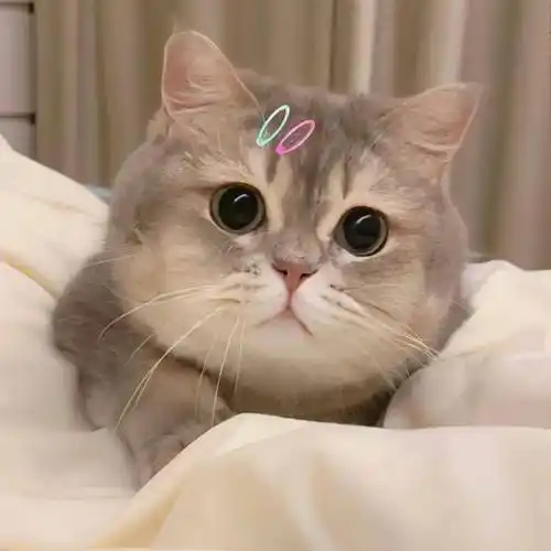 头像 | 精选高清微信头像