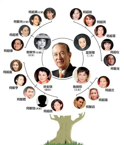 赌王何鸿燊逝世,5000亿家产到底该咋分?