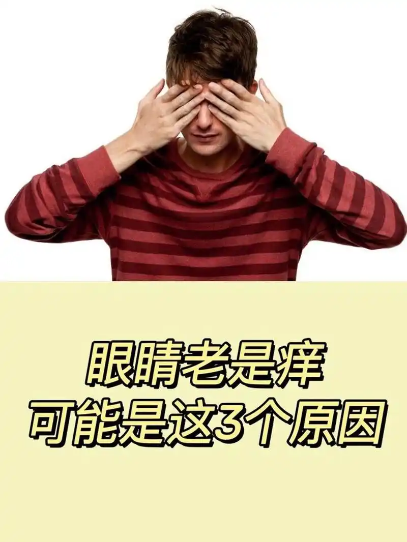 可能是这三个原因 眼睛老是痒是怎么回事?可能是下面这三个原因.