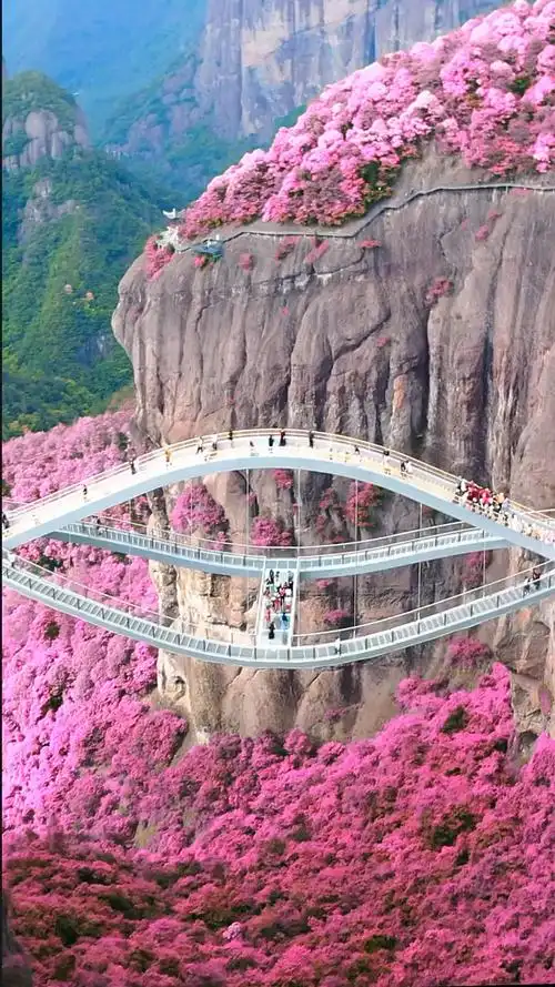 航拍浙江台州神仙居如意桥全长100米每一百人只有10个人敢走过去我是