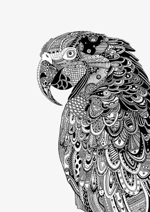 老鹰黑白装饰画