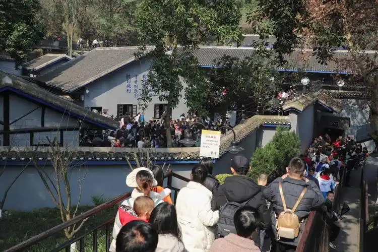 沙坪坝春节假期红色旅游景点受热捧