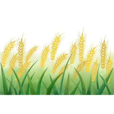 水彩麦田芒种插画背景元素芒种二十四节气