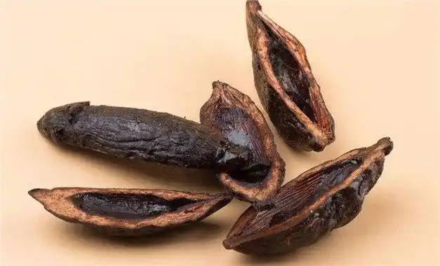 槟榔既能治病又会致癌到底是功效大还是毒性强