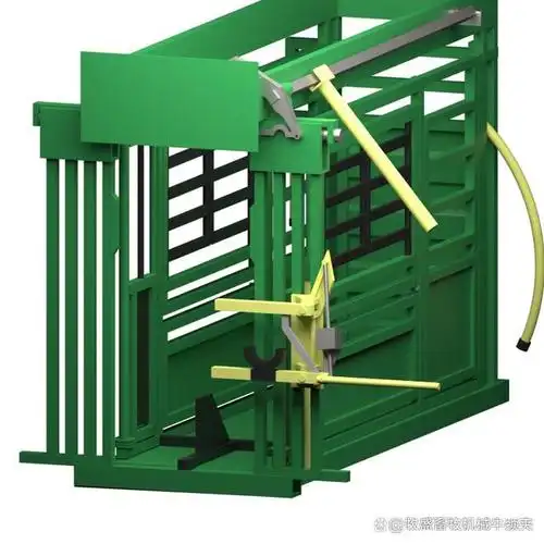 如何正确使用牛用保定架,提升牛群管理效率