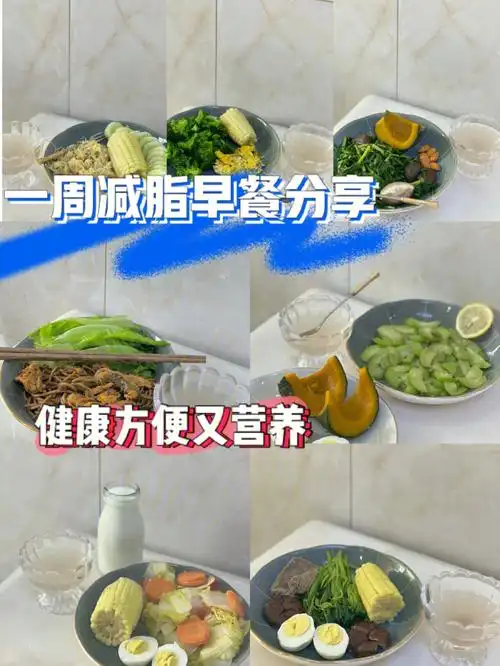 分享我一周7810斤的减脂食谱166早餐合集60