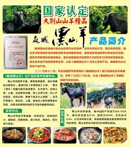 【cdr】黑山羊简介