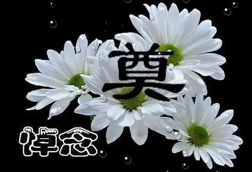 姥姥,您一路走好!