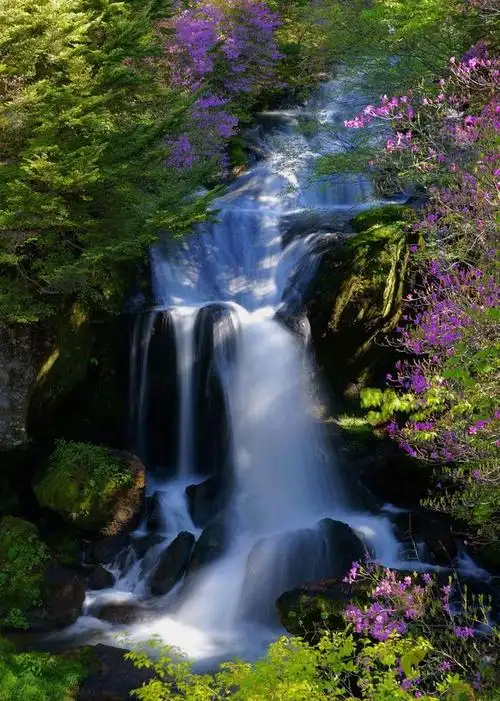 658_922竖版 竖屏