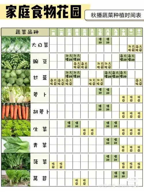 78蔬菜播种时间大合集