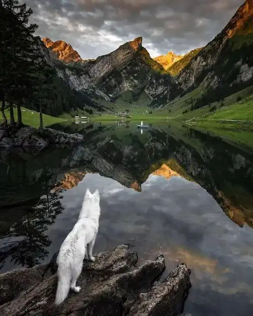 2018年最震撼心灵的15幅摄影作品,看到第几幅你沉默了?